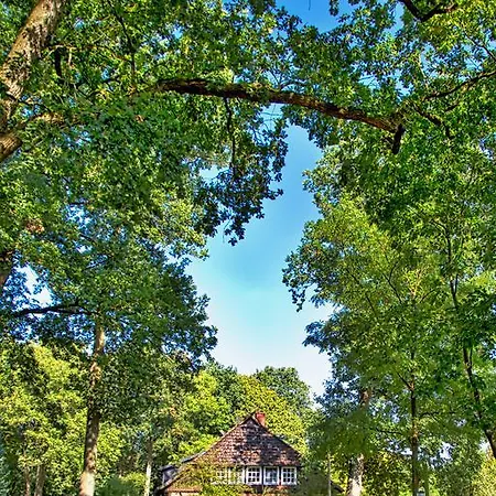 Manfred Peters Baven * Hermannsburg